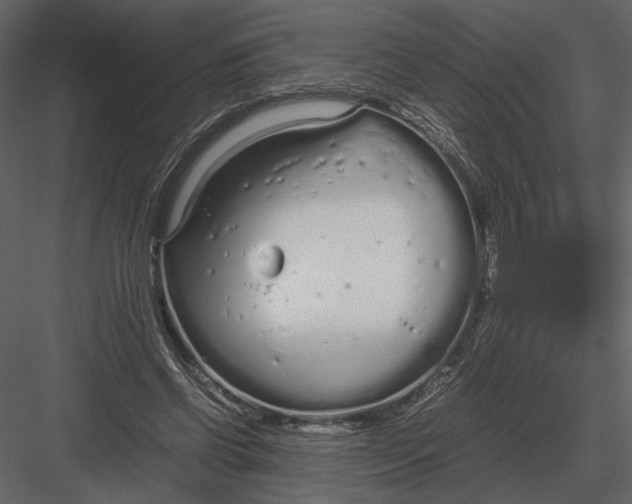 X0000083000542200702230129