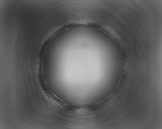 X0000083000544200702230129