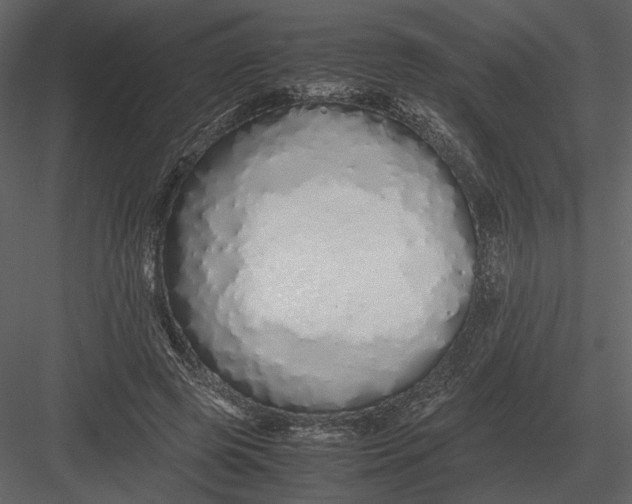 X0000083000545200702230129