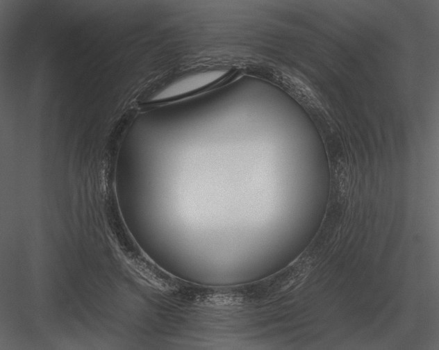 X0000083000546200702230129