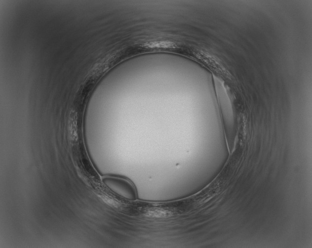 X0000083000547200702230129