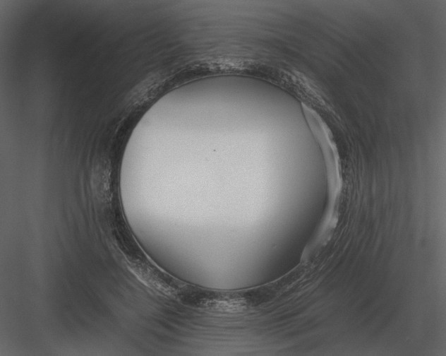 X0000083000548200702230129