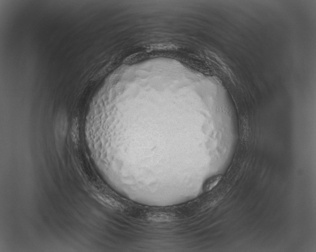 X0000083000549200702230129