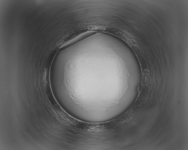 X0000083000550200702230129