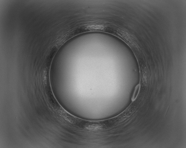 X0000083000551200702230129