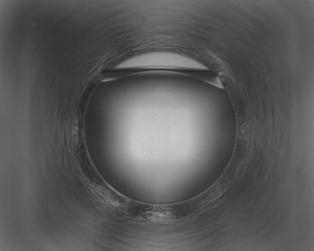 X0000083000552200702230129