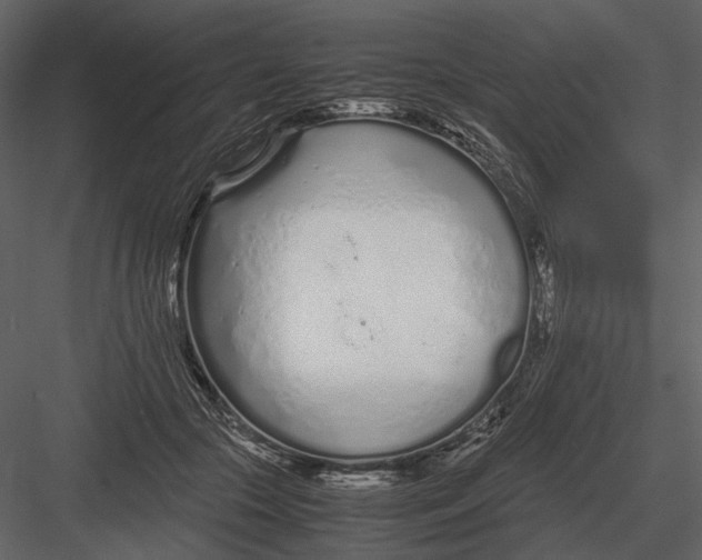 X0000083000553200702230129