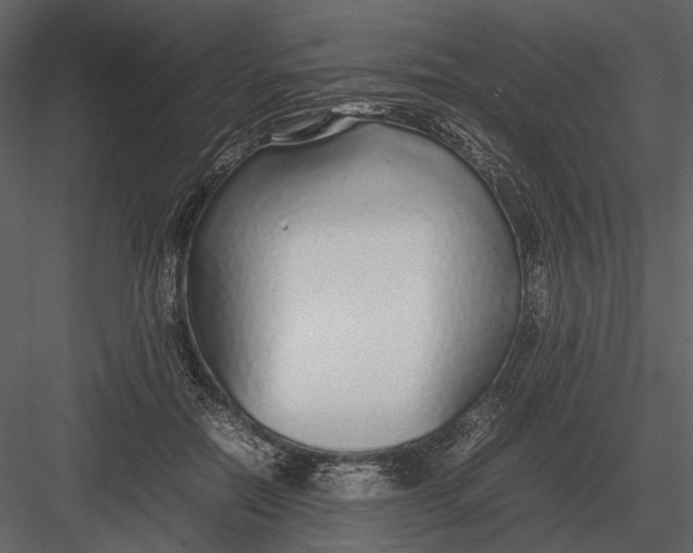 X0000083000554200702230129