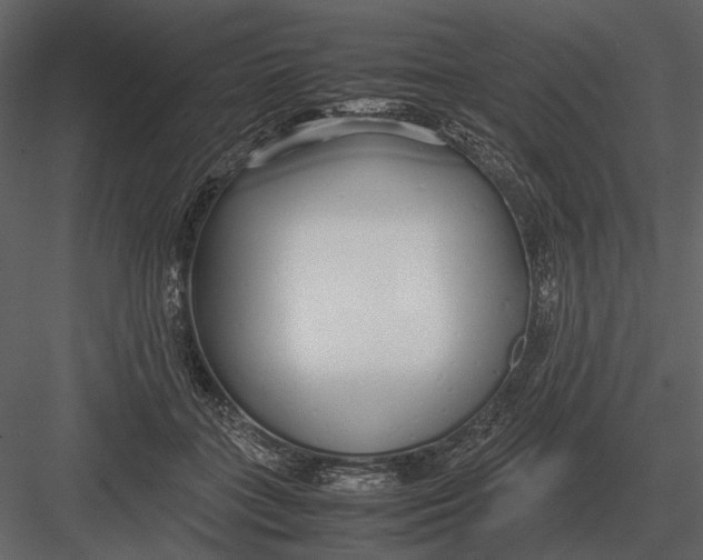 X0000083000555200702230129