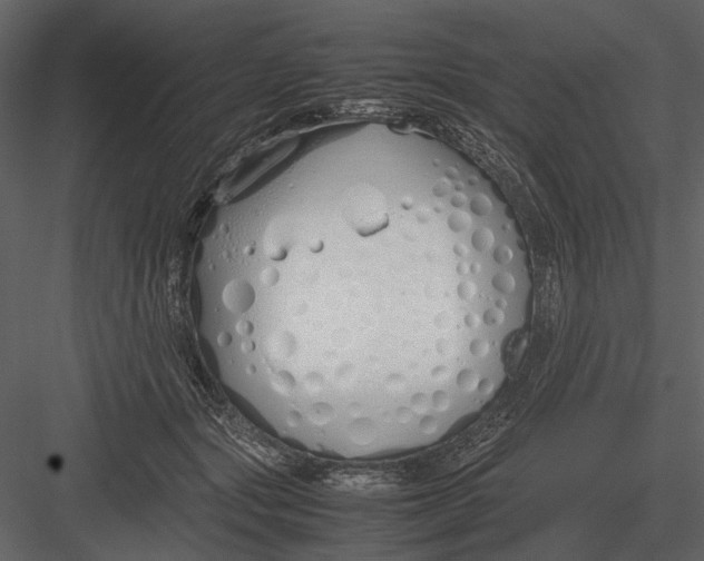 X0000083000557200702230129