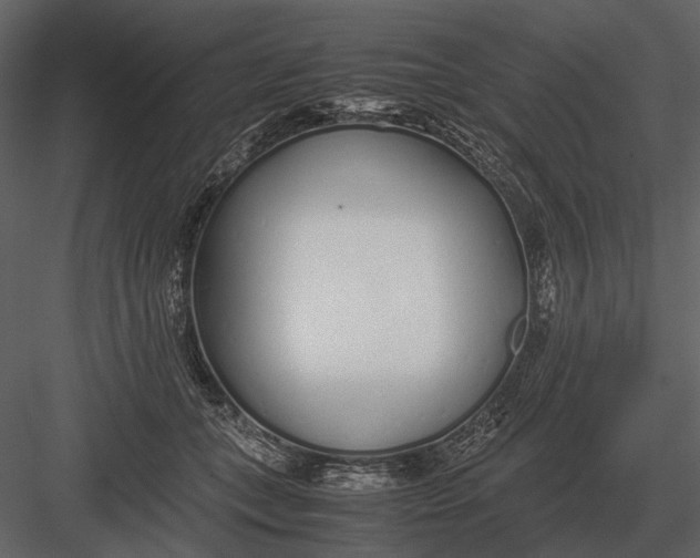 X0000083000559200702230129