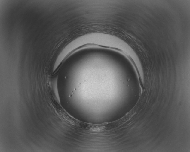 X0000083000560200702230129