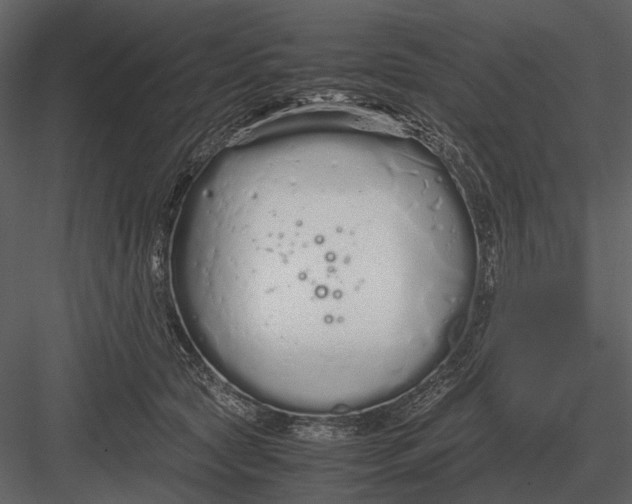 X0000083000561200702230129