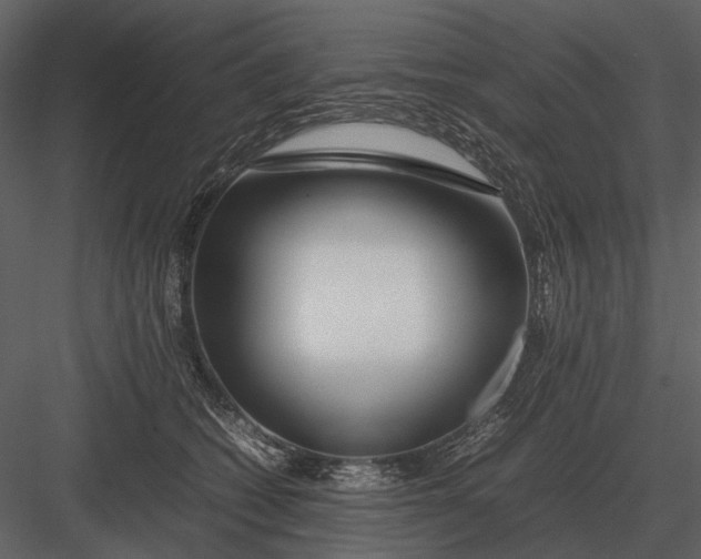 X0000083000562200702230130