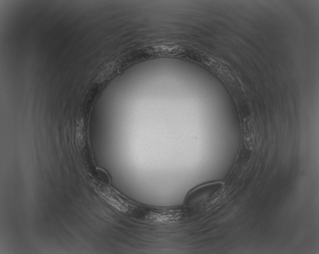 X0000083000563200702230130