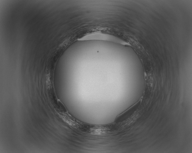 X0000083000564200702230130