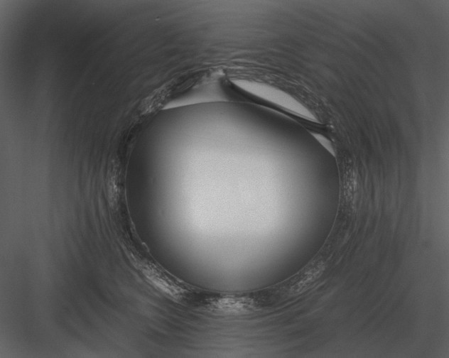 X0000083000566200702230130