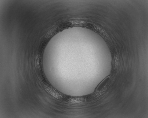 X0000083000567200702230130