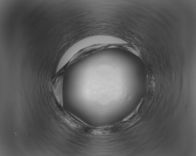 X0000083000568200702230130