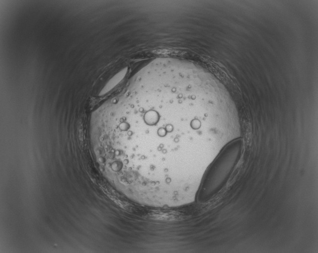 X0000083000569200702230130