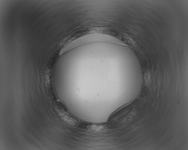 X0000083000570200702230130