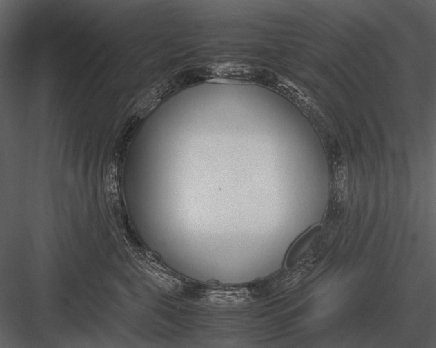 X0000083000571200702230130