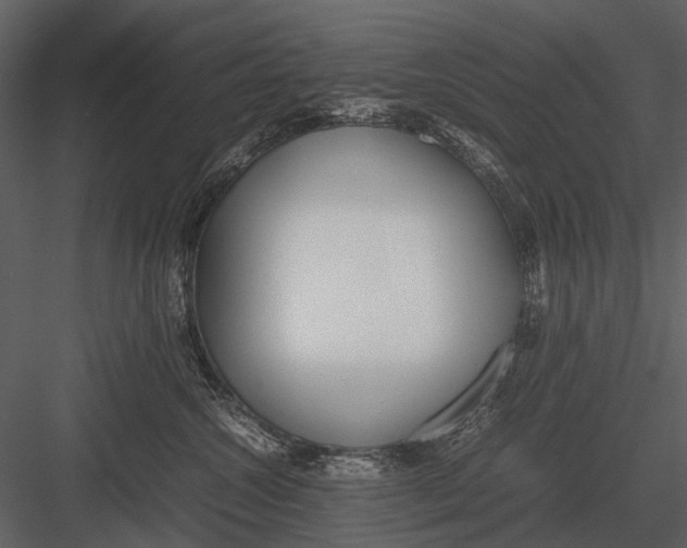 X0000083000572200702230130