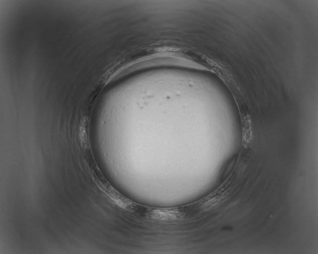 X0000083000573200702230130