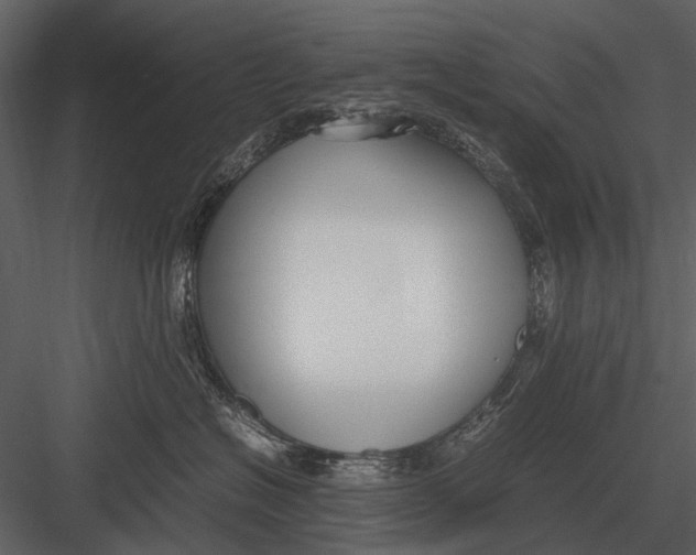 X0000083000574200702230130