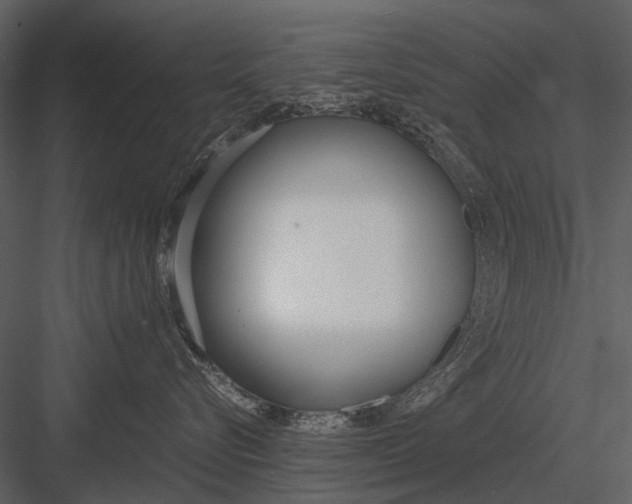 X0000083000576200702230130