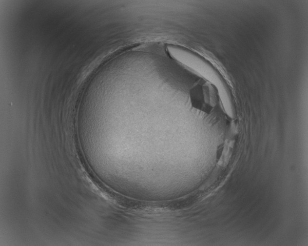 X0000083000577200702230129