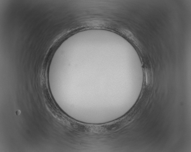 X0000083000579200702230129