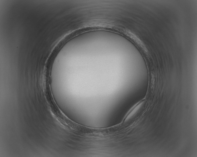 X0000083000580200702230129