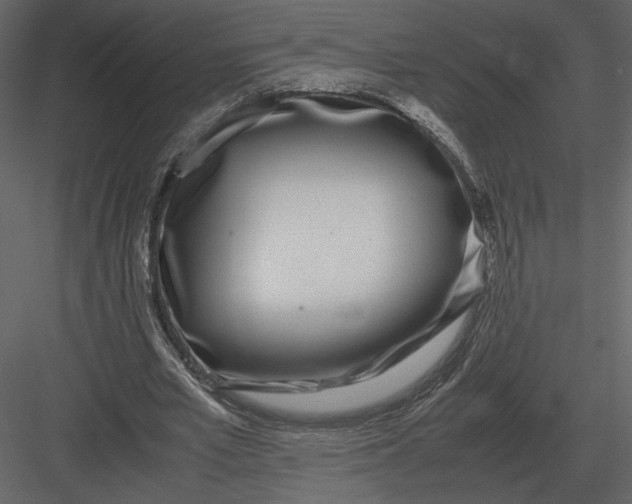 X0000083000581200702230129