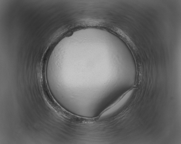 X0000083000582200702230129