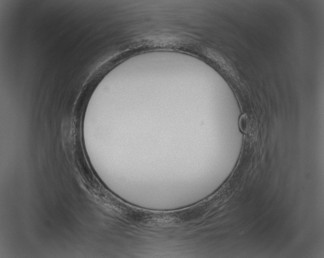 X0000083000583200702230129