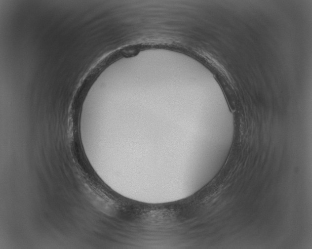 X0000083000584200702230129