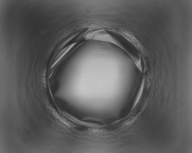 X0000083000585200702230129