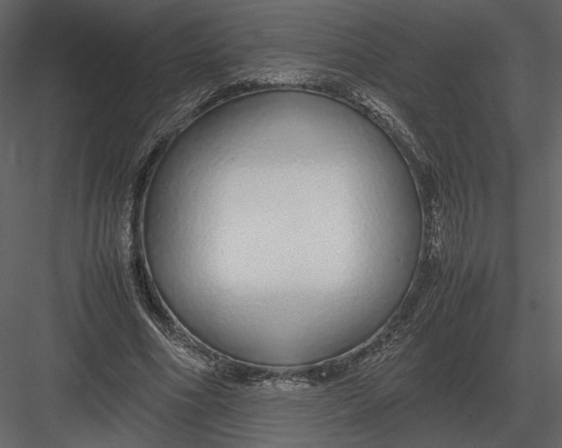 X0000083000586200702230129