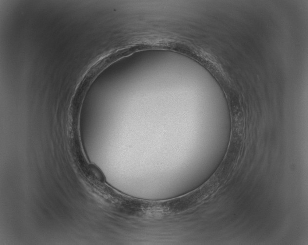 X0000083000587200702230129