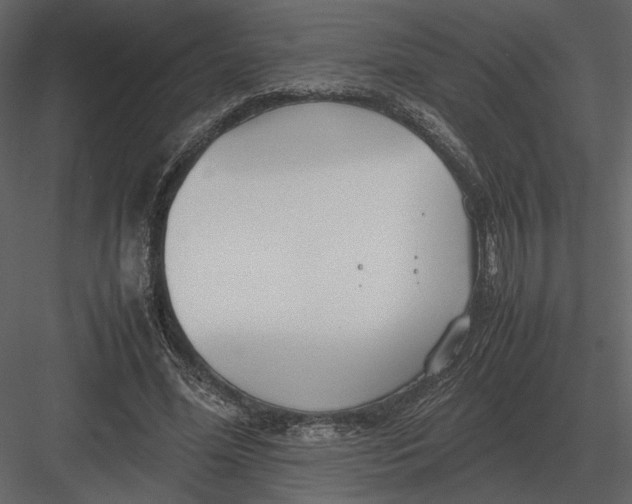 X0000083000588200702230129