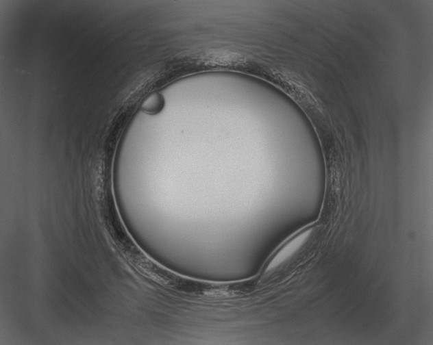 X0000083000591200702230129