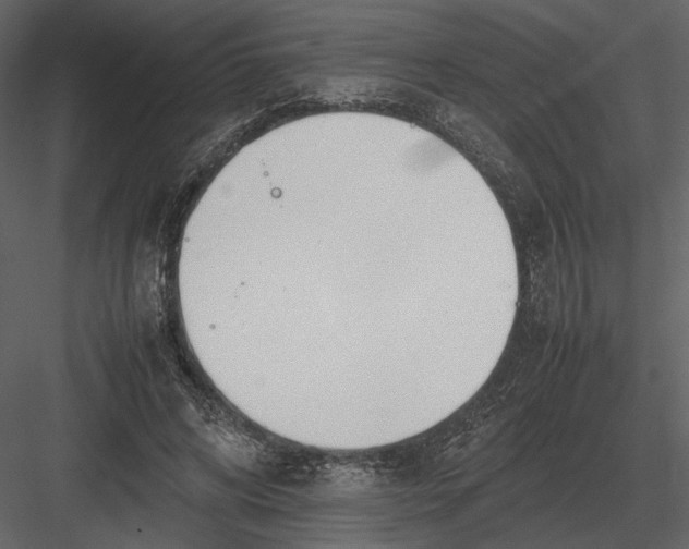 X0000083000592200702230129