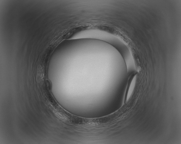 X0000083000593200702230129