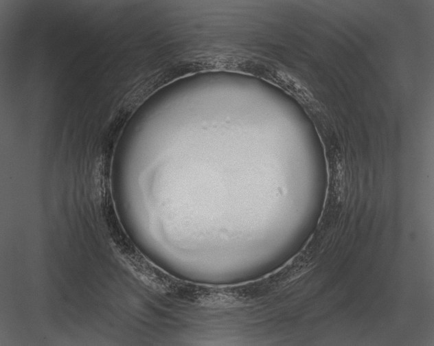 X0000083000594200702230129