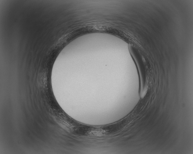 X0000083000595200702230129