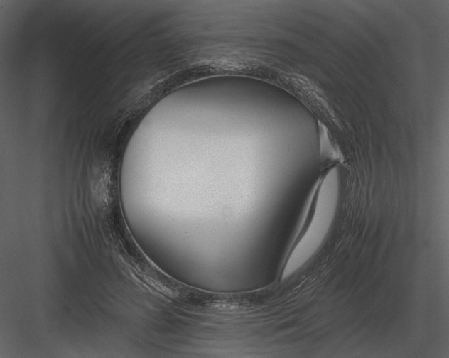 X0000083000596200702230129