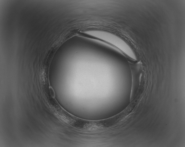 X0000083000597200702230129