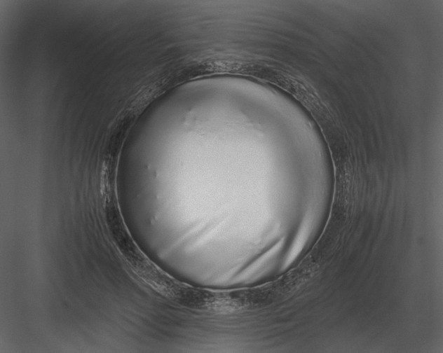 X0000083000598200702230129