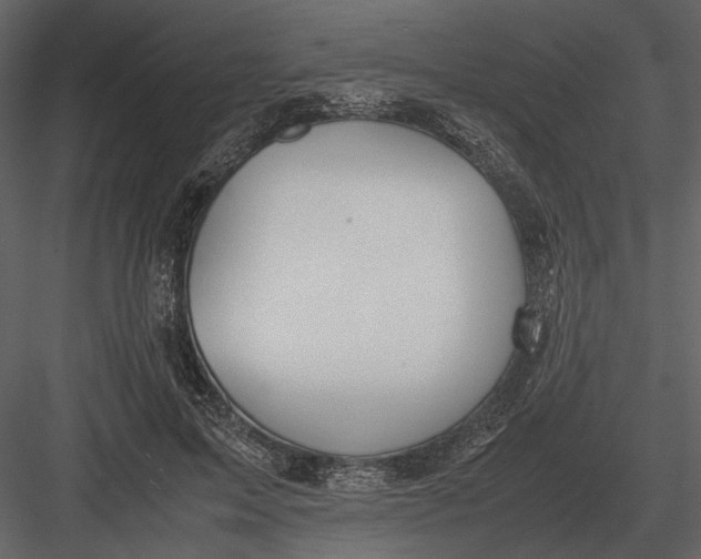 X0000083000599200702230129